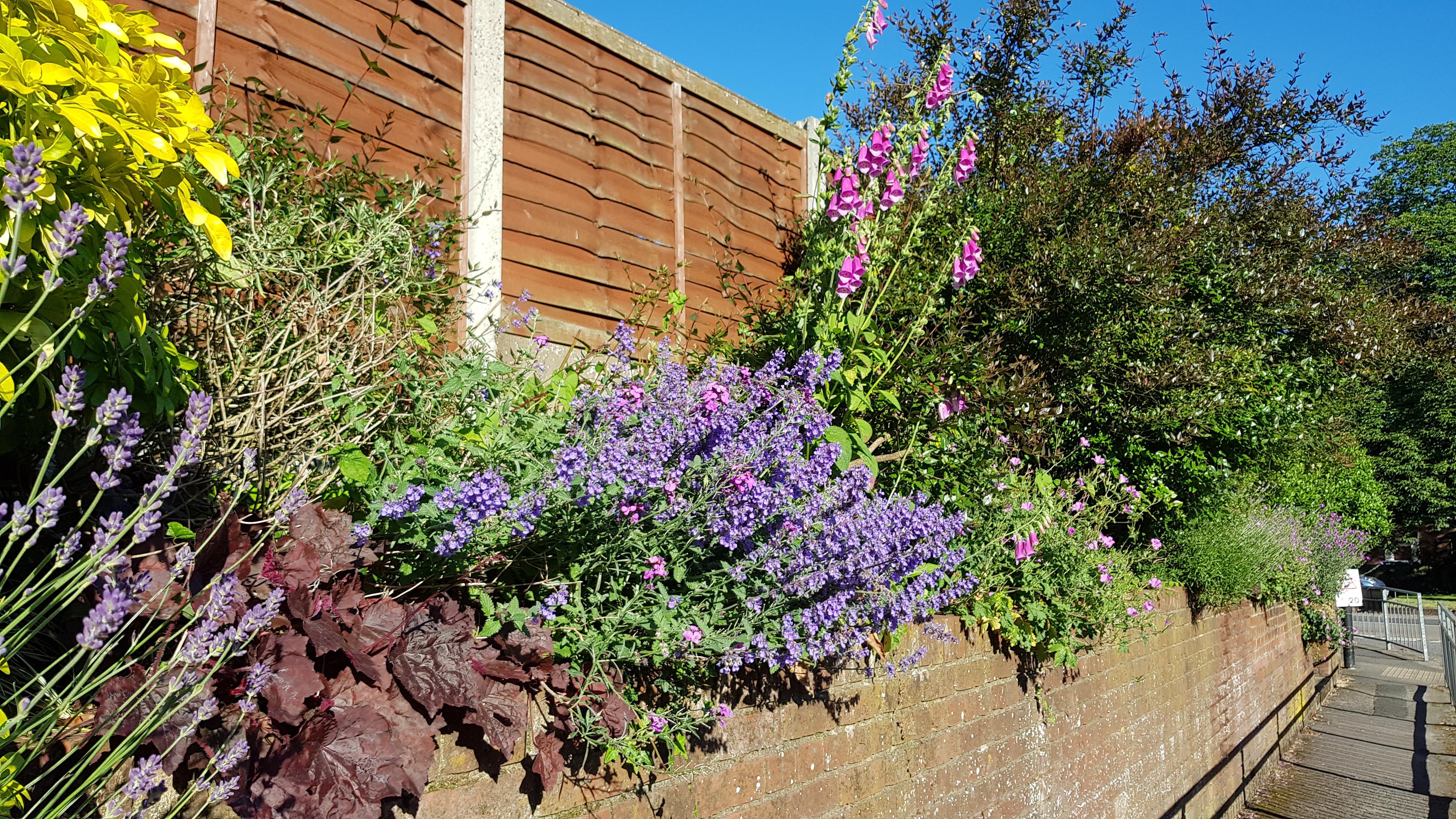 Hurstwood Road - Planted Area